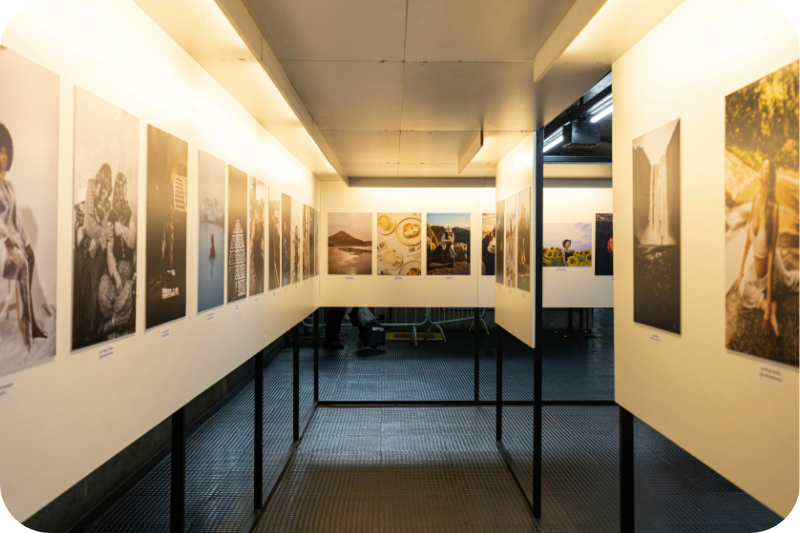 NYC Art Shows: Fall 2026 Guide Banner