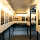 NYC Art Shows: Fall 2026 Guide